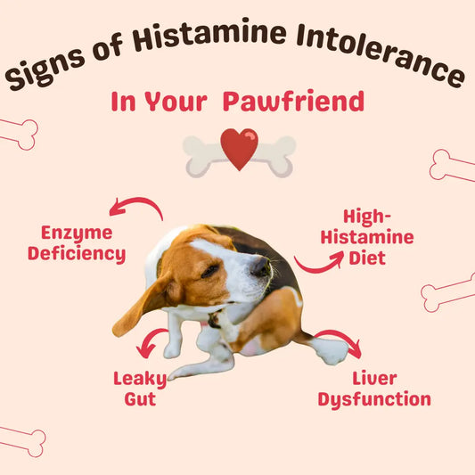 Histamine Intolerance
