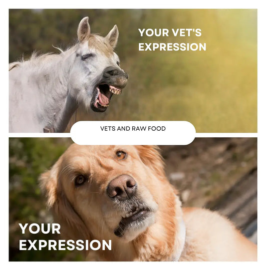 Vets and Raw Food
