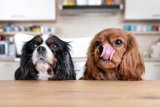 Oven baked dog food
