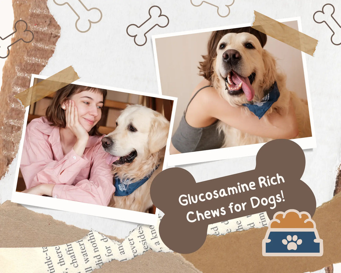 Chews for Dogs