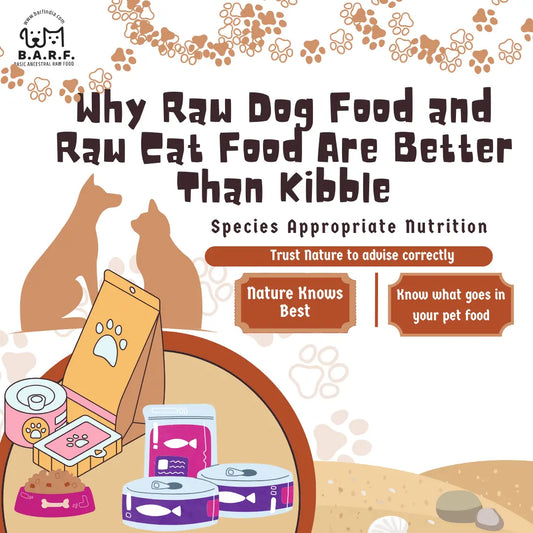 pet food better than kibble