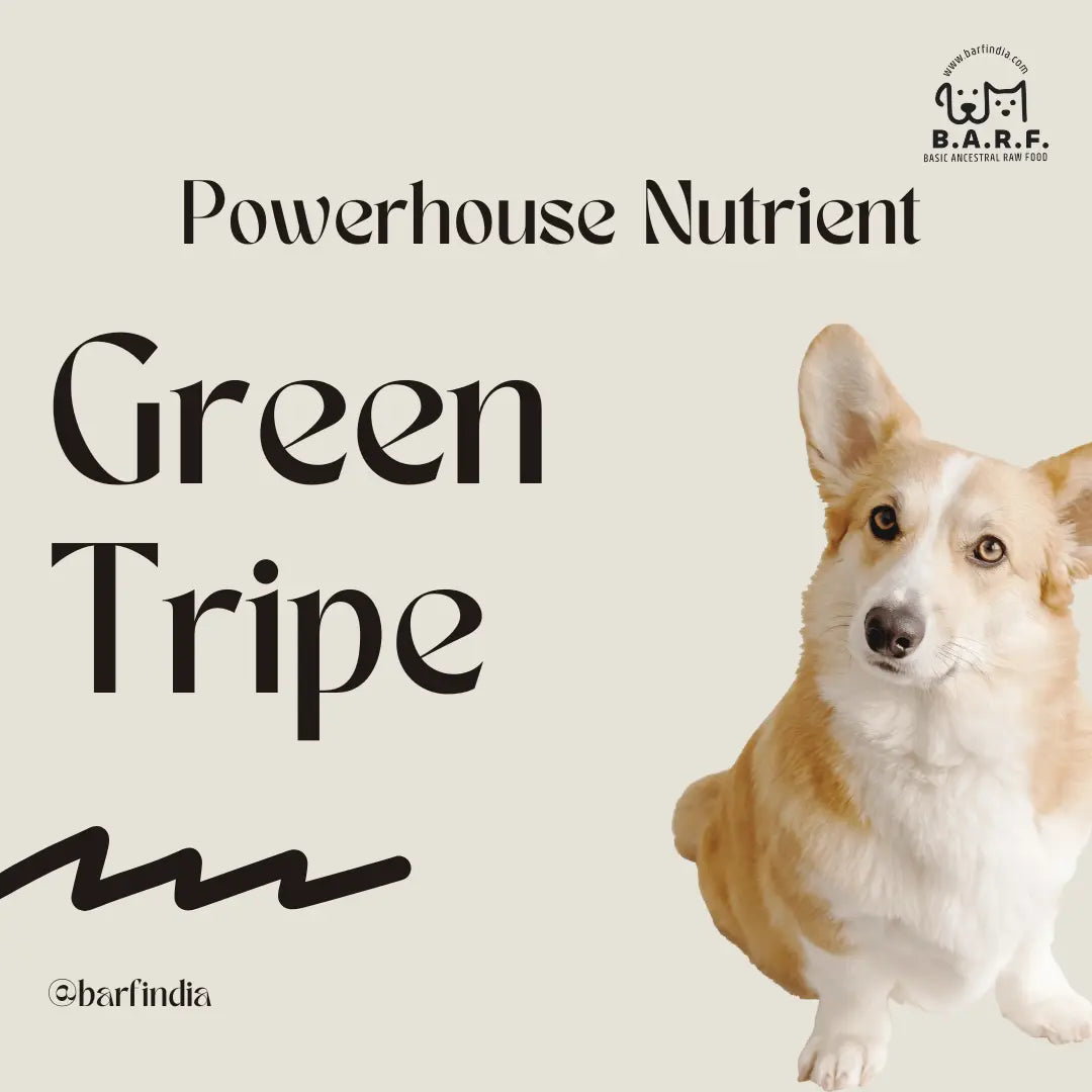 green tripe
