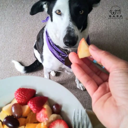 Dogs have fruits
