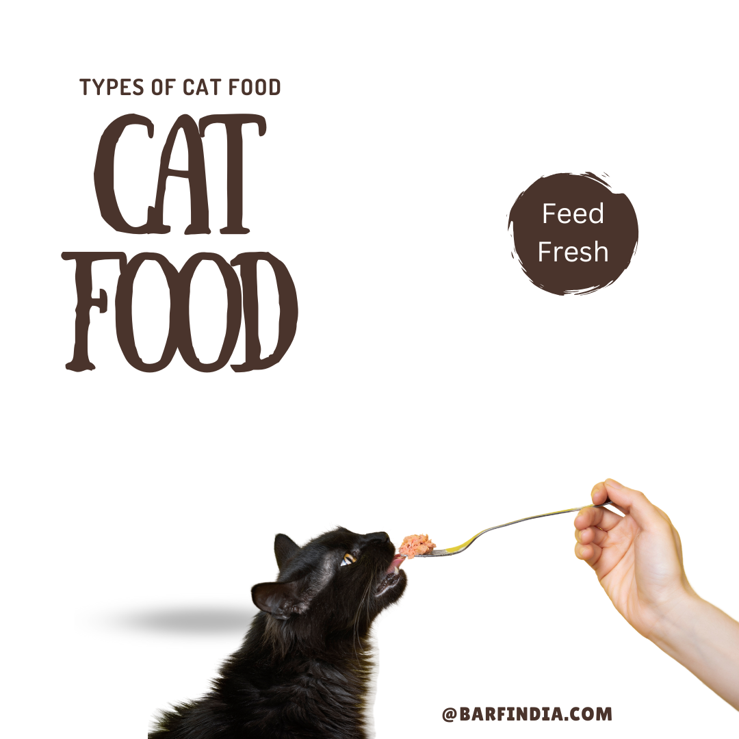 Cat Food