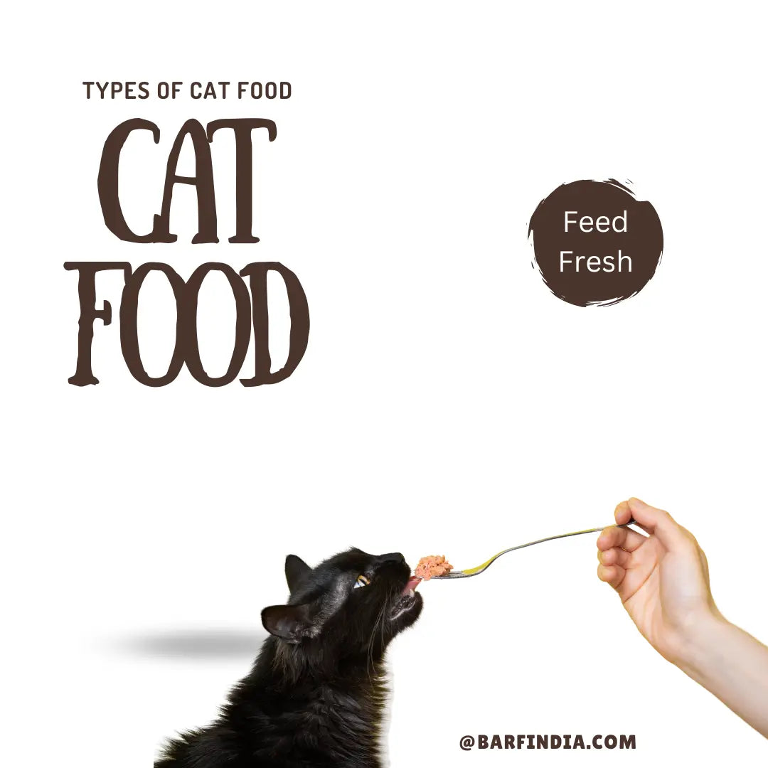 Cat Food