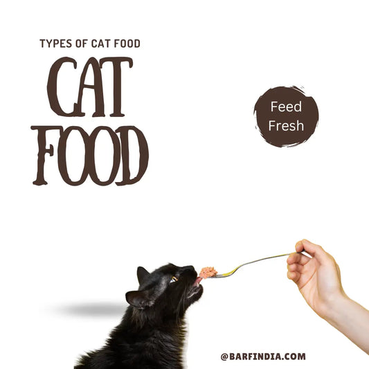 Cat Food