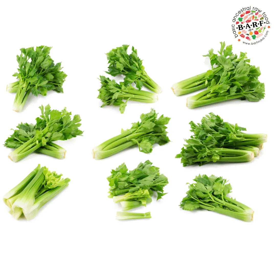 Celery best sale for dogs
