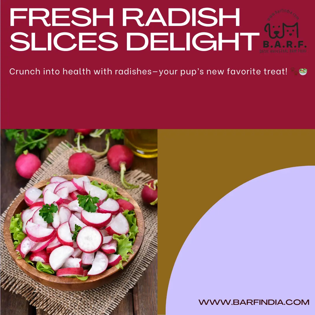 Radish for dogs