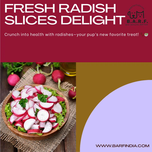 Radish for dogs