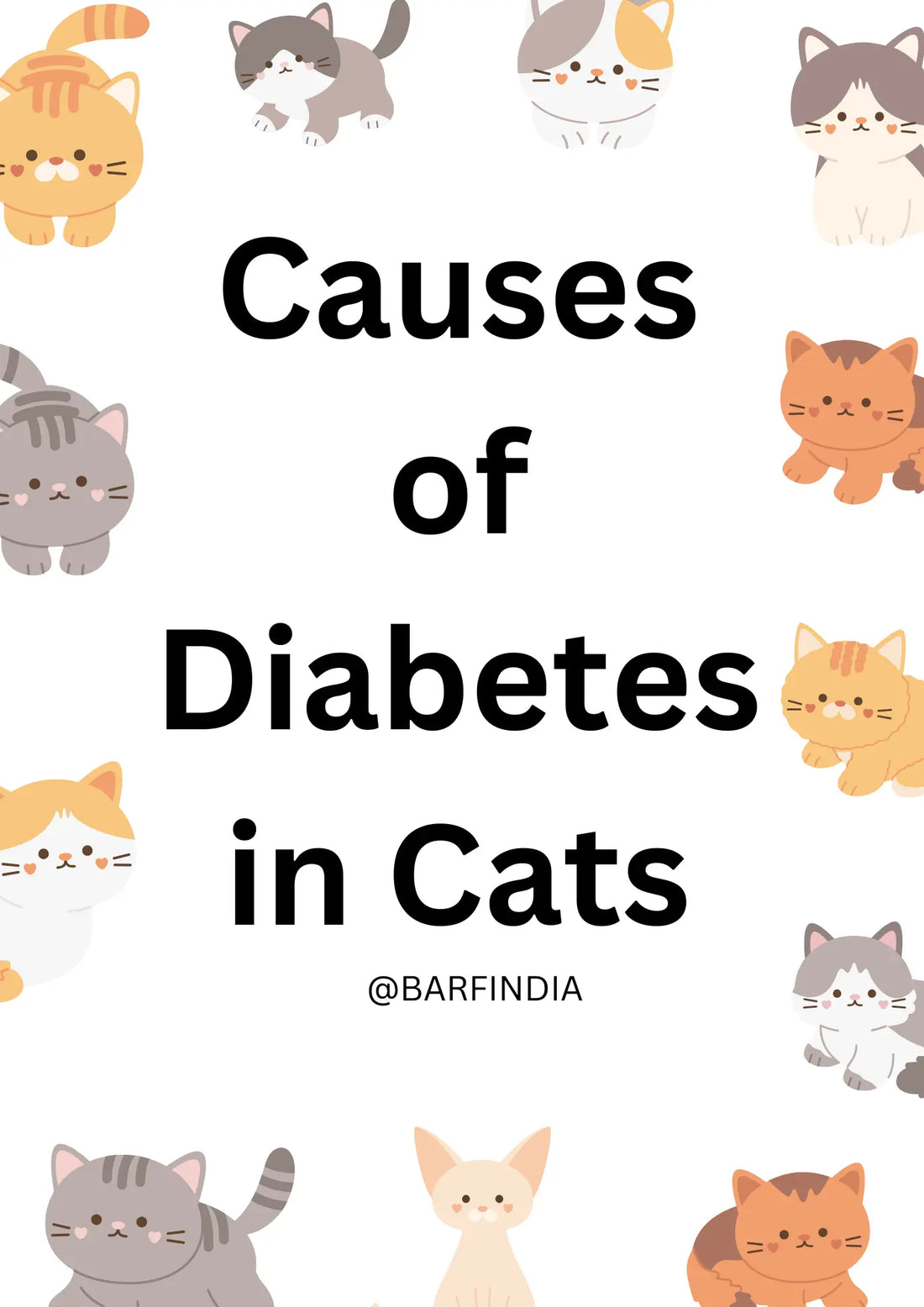Diabetes in Cats
