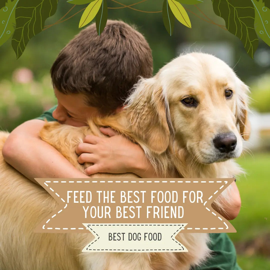 GOLDEN RETRIEVERS