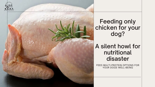 Chicken Feeding in Dogs