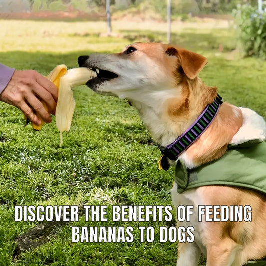 Bananas