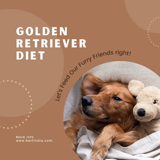 Golden Retrievers