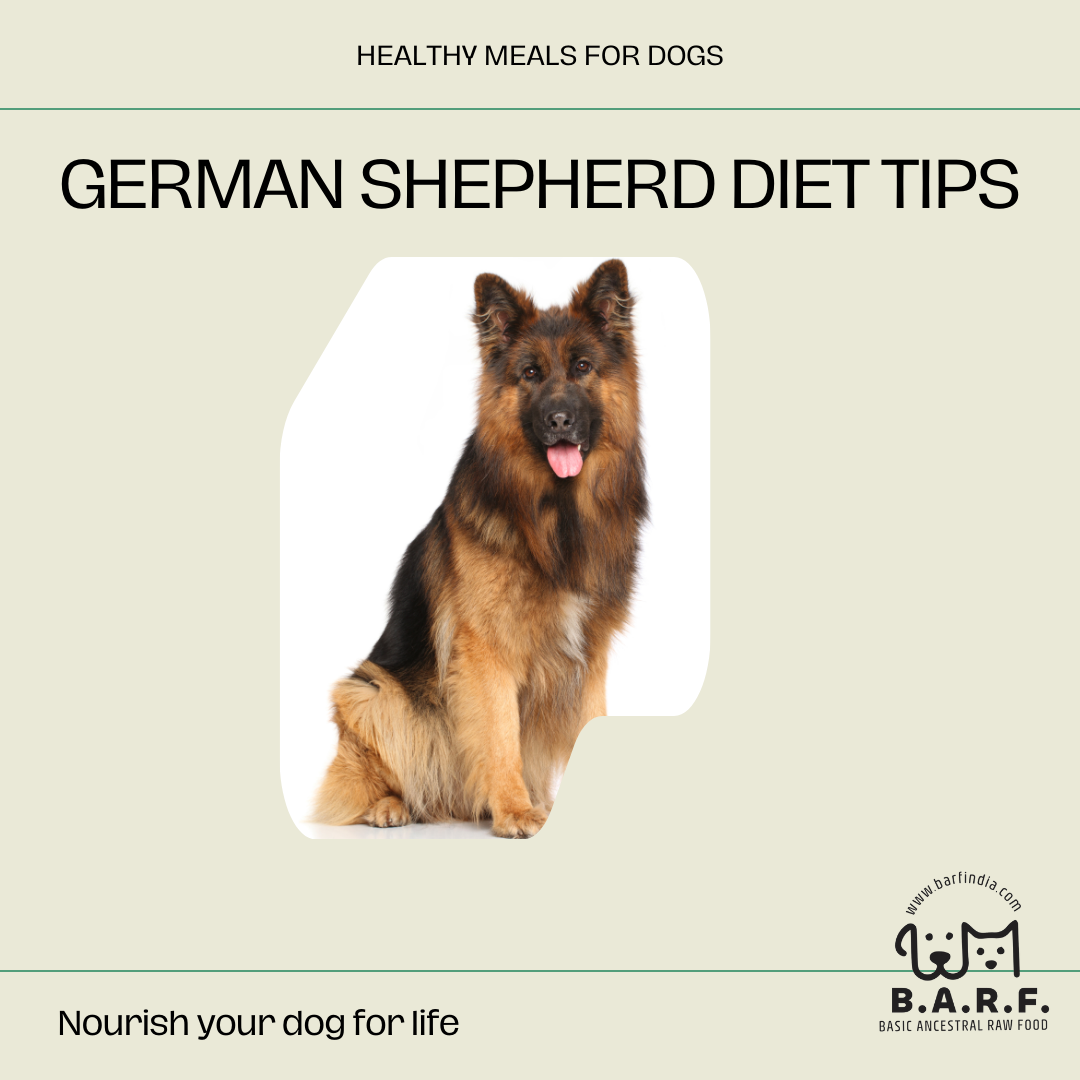 Optimal Diet for German Shepherds Raw Dog Food Cooked Dog Food