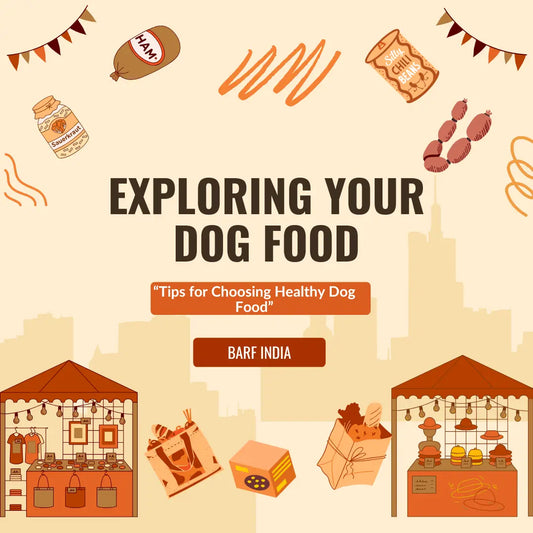 Dog Food
