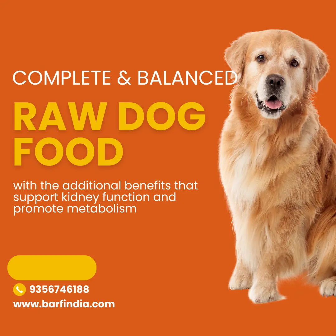 Raw Dog Food