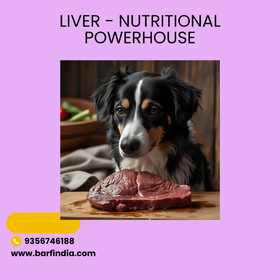 Organ Meats for Dogs