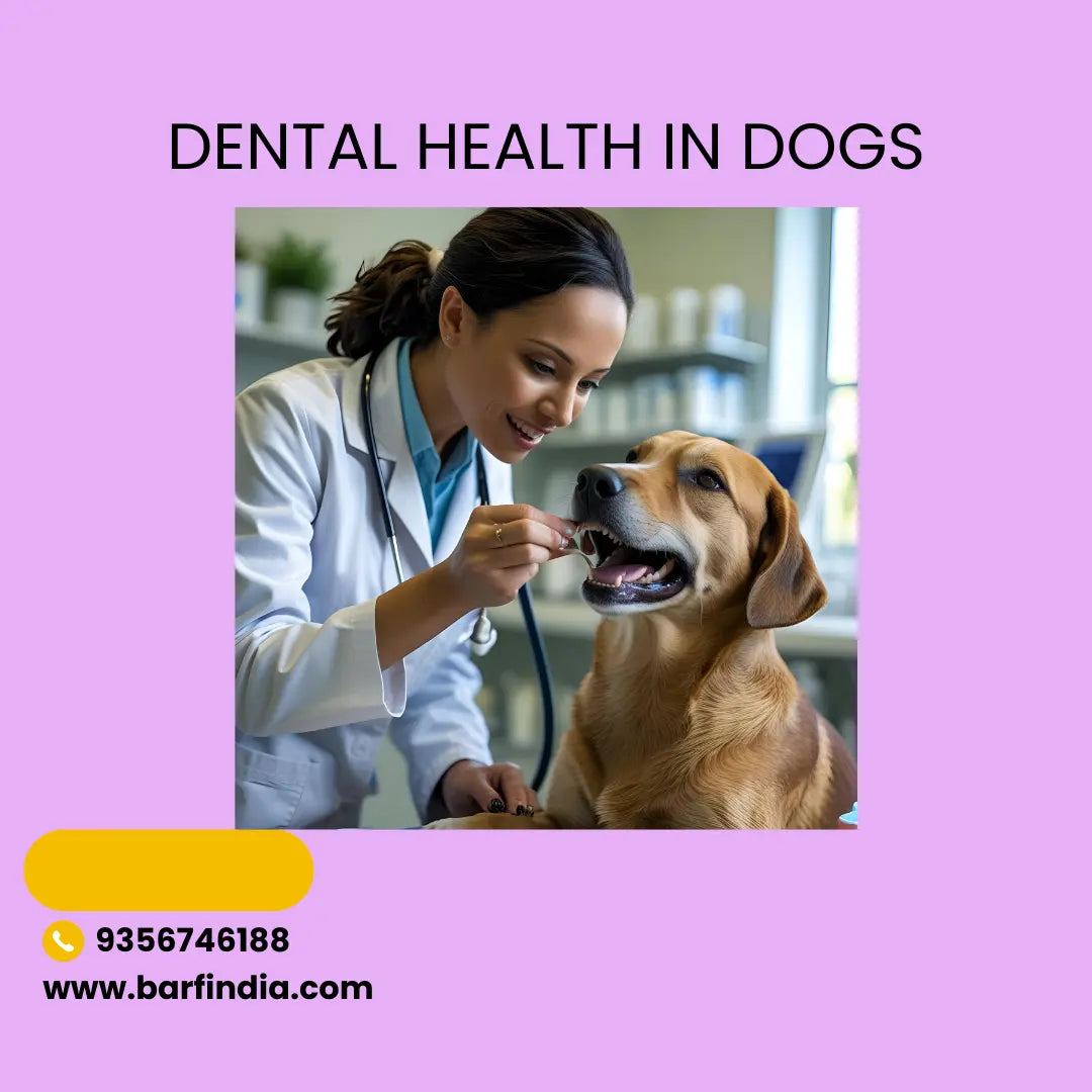 DENTAL HEALTH