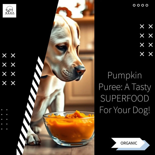 Pumpkin for dogs