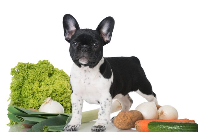 what vegetables can bulldogs eat