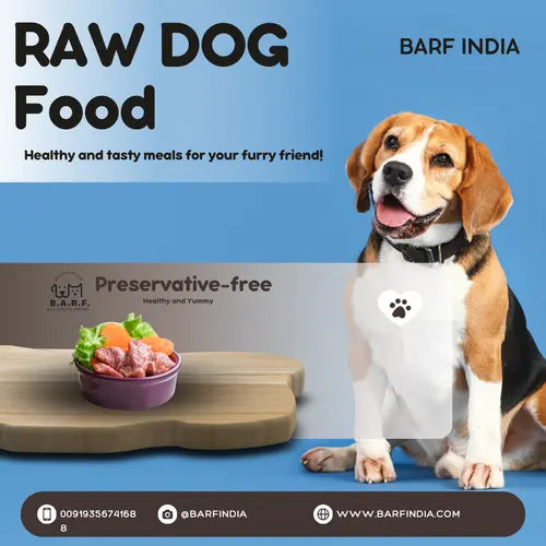 Raw Dog Food