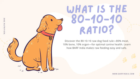 80-10-10 raw dog food
