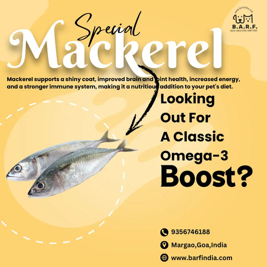 Mackerel