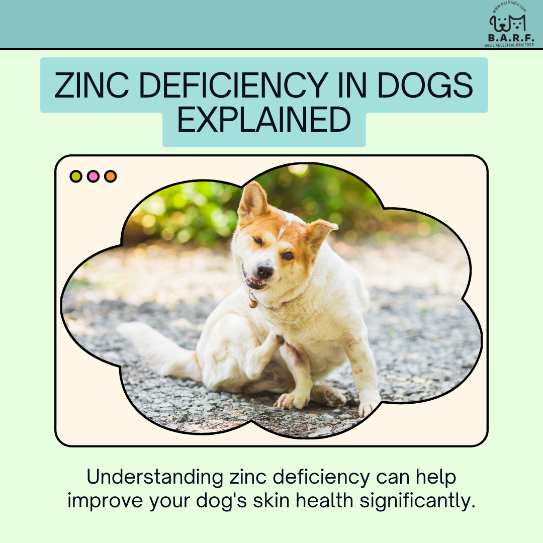 Zinc Deficiency in Dogs
