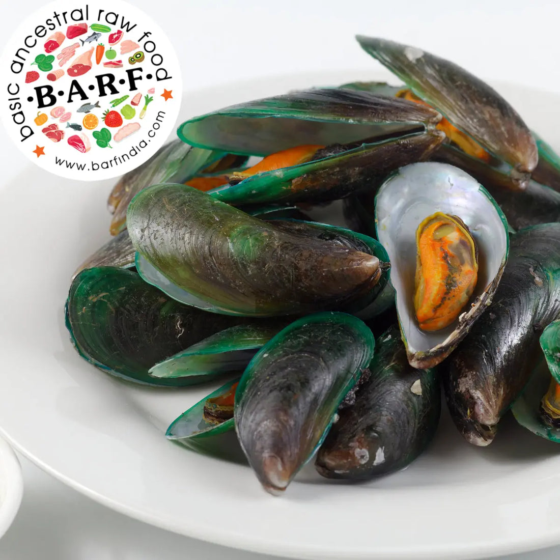 Raw Clams