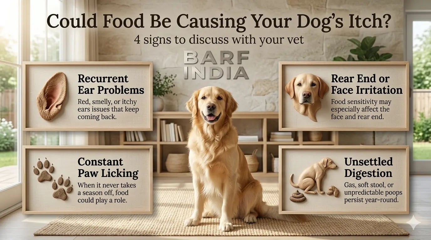 Hypoallergenic Dog Food: Complete Guide for Allergic & Sensitive Dogs.