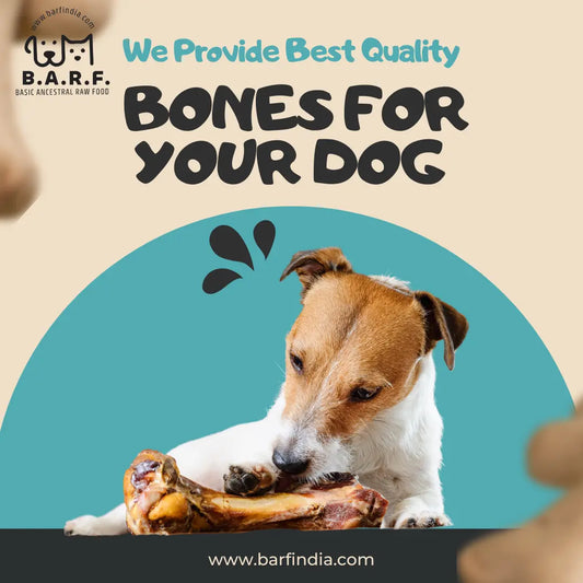 Bones for Dogs