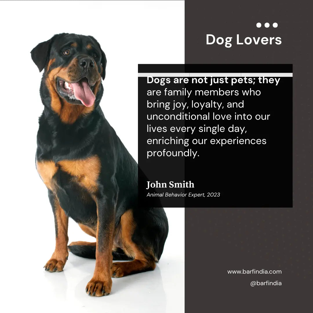 rottweilers