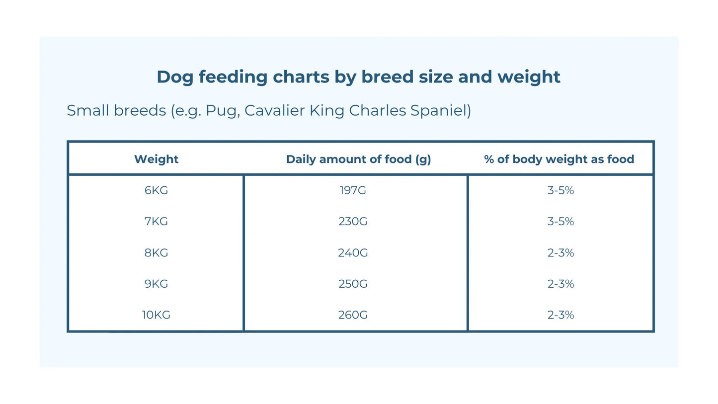 Raw Dog Food