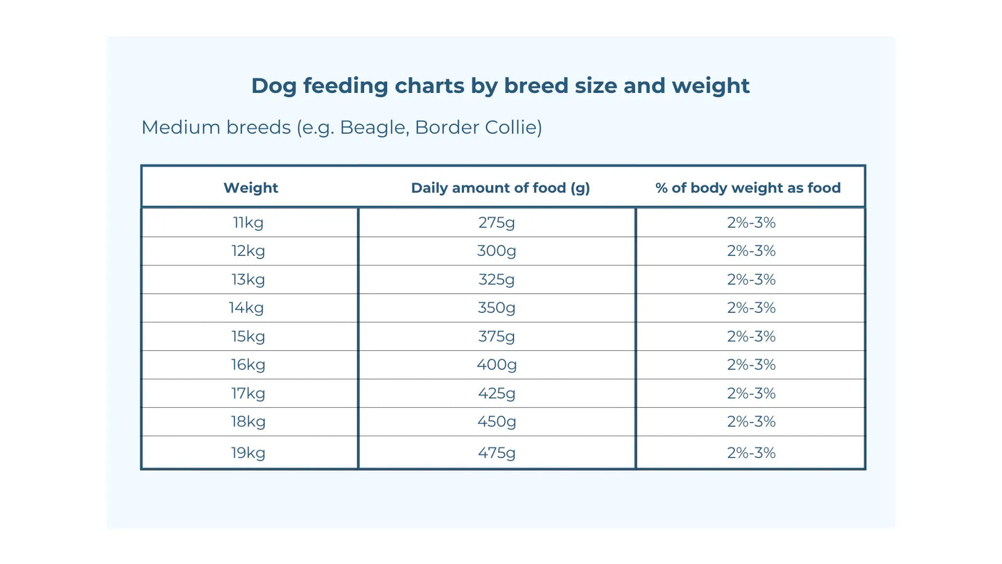 Raw Dog Food