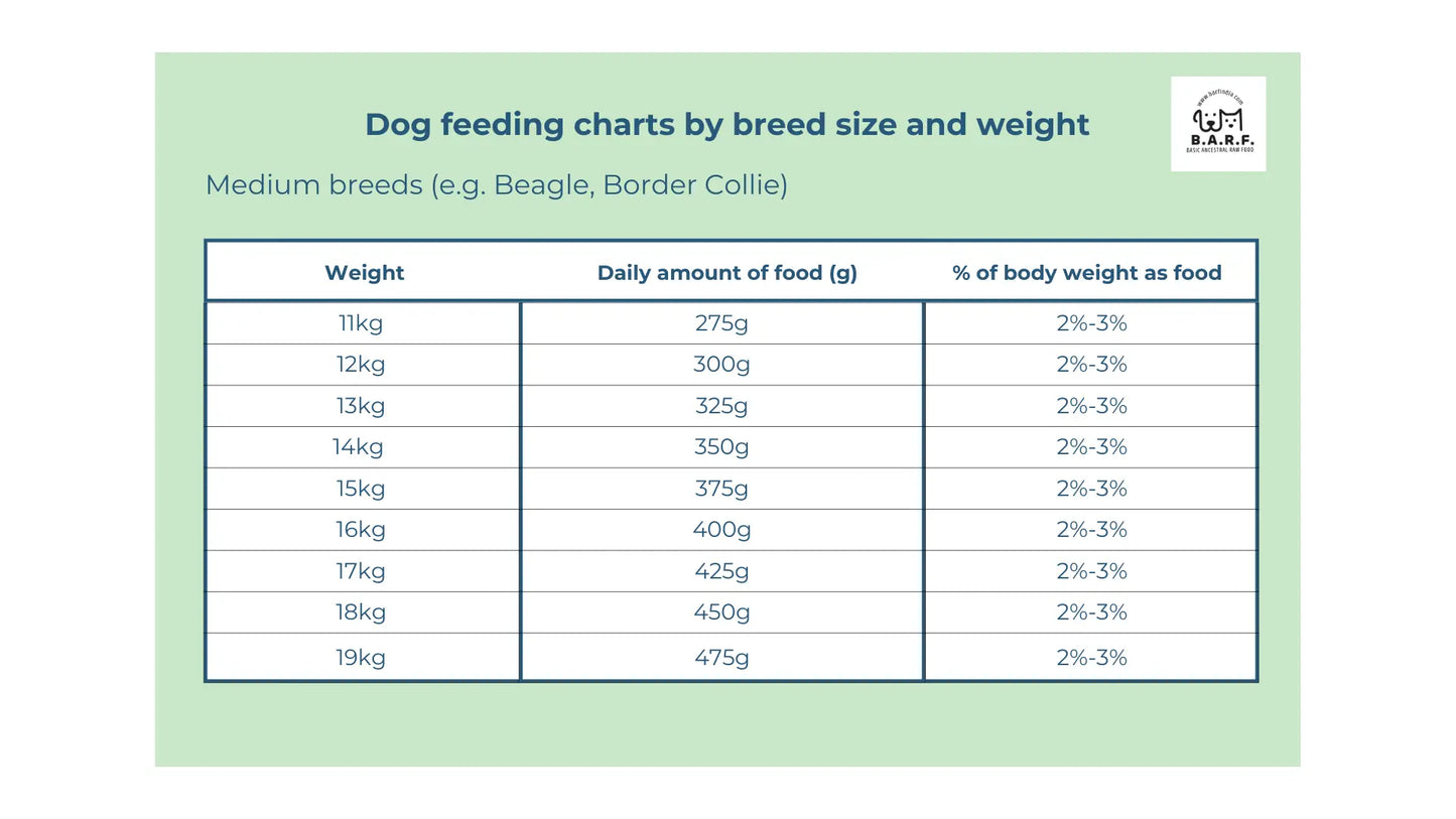 Raw Dog Food