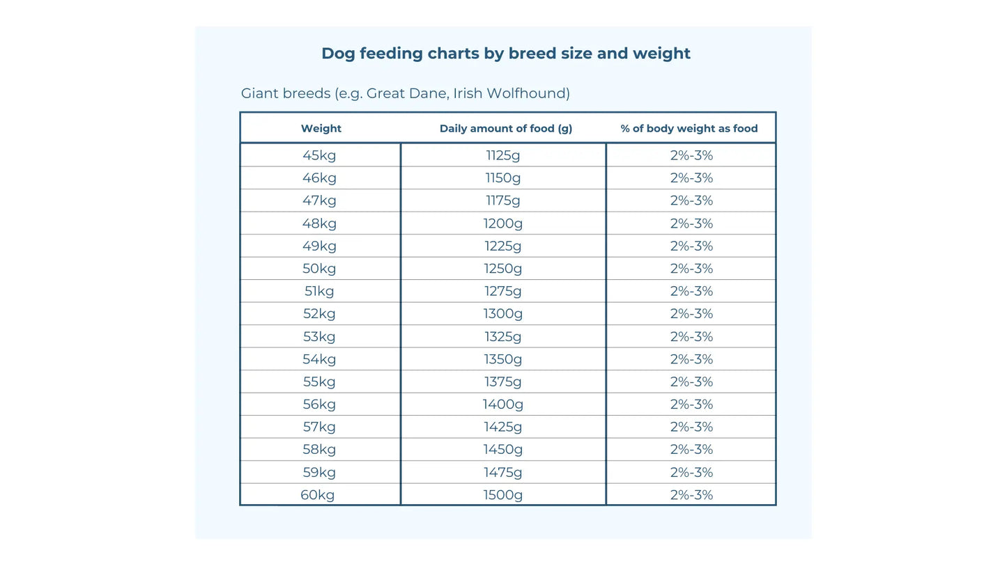 Raw Dog Food