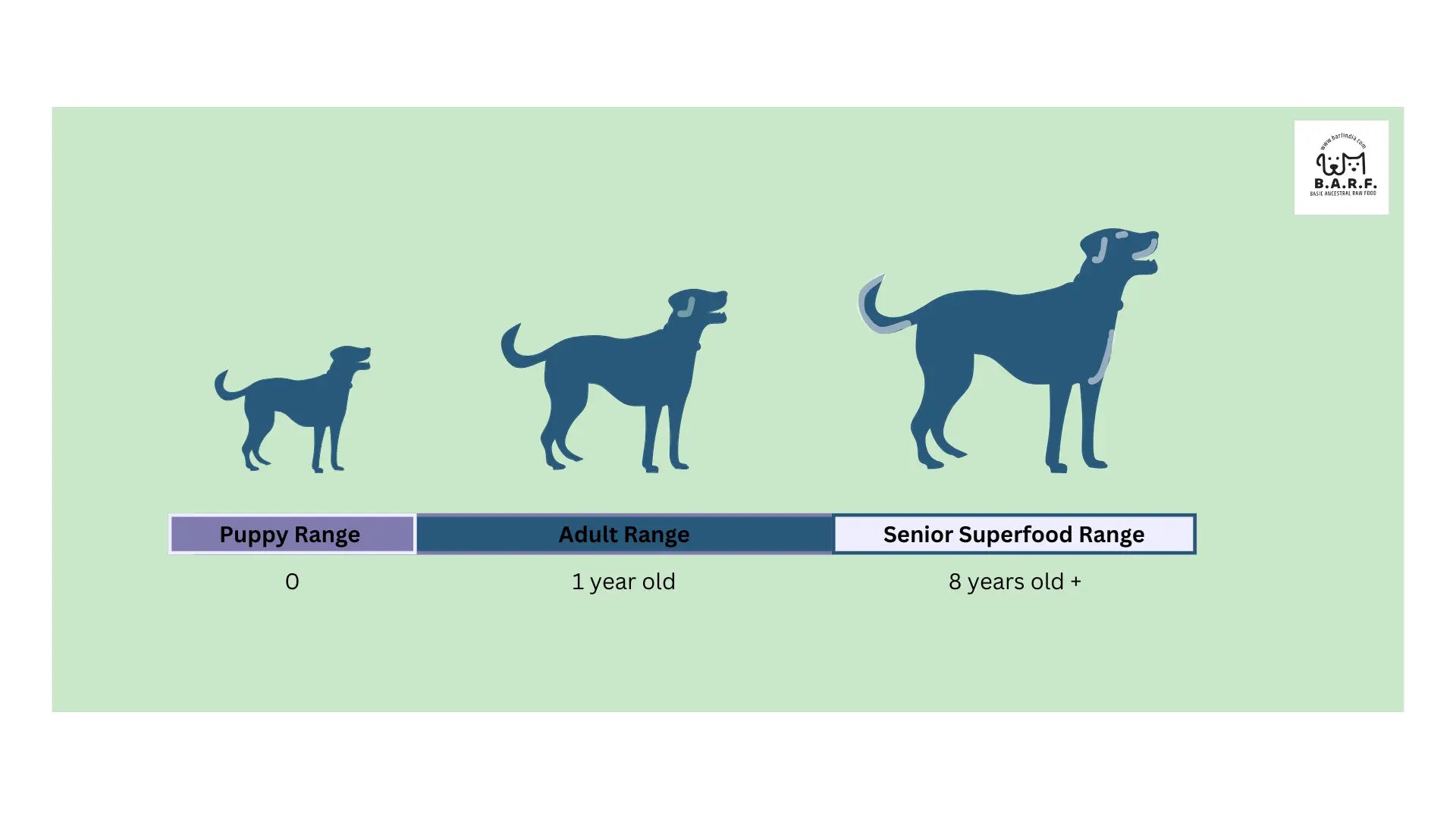 Silhouettes of three dogs, growing in size left to right, labeled as Puppy (0 yrs), Adult (1 yr), and Senior (8+ yrs) on green—highlighting Raw Dog Food - Duck Recipe - 4kgs by www.barfindia.com, a single-protein formula.