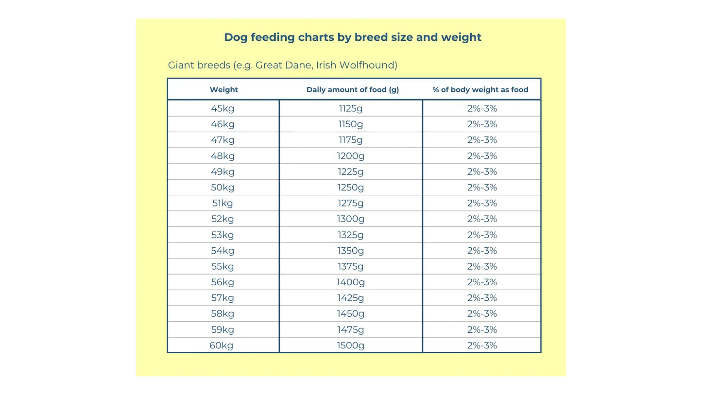 Raw Dog Food