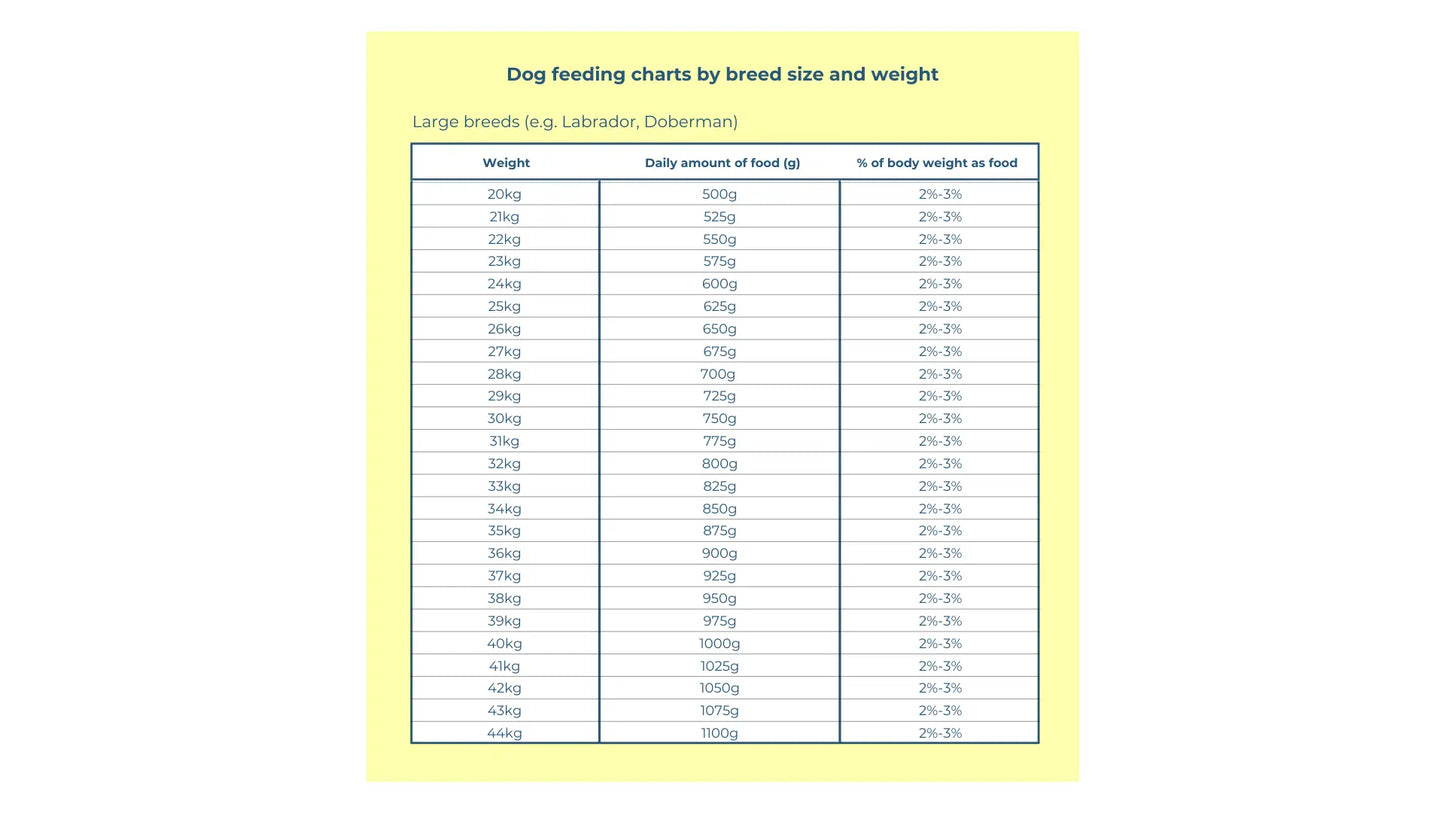 Raw Dog Food