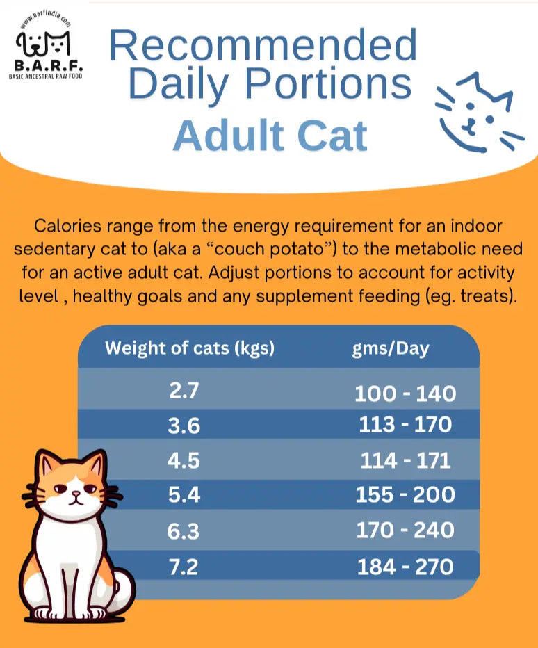 cat food