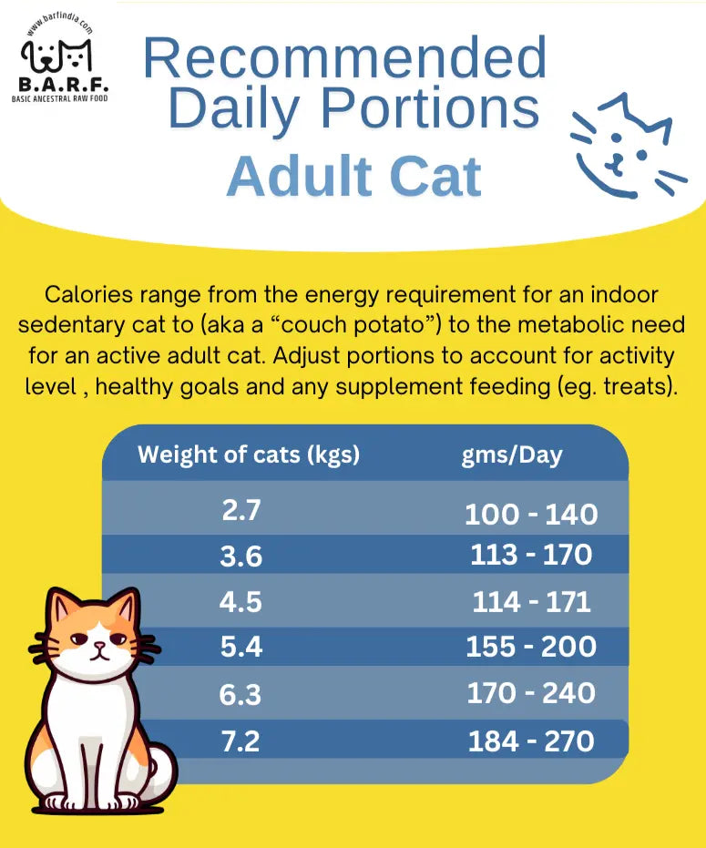 Cat Food