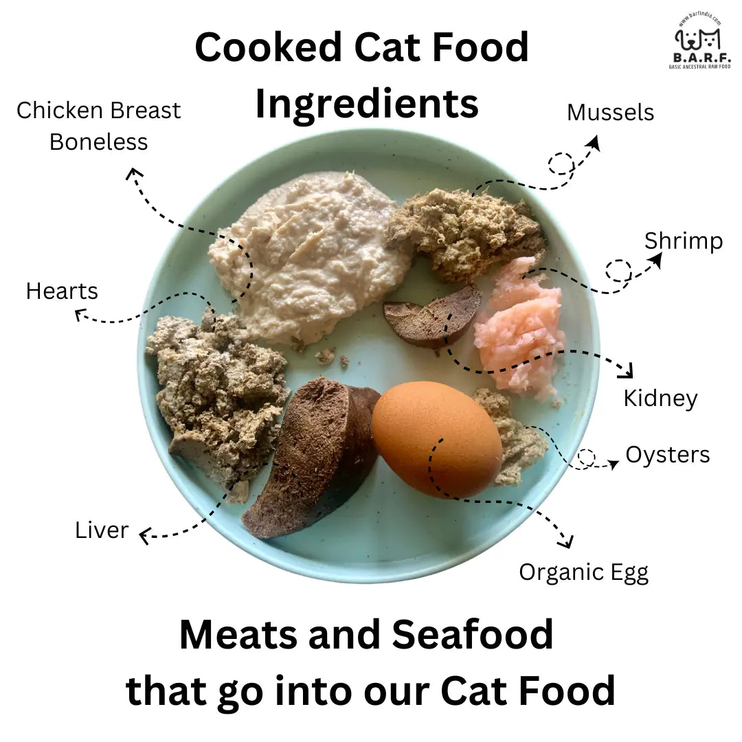 Cat food