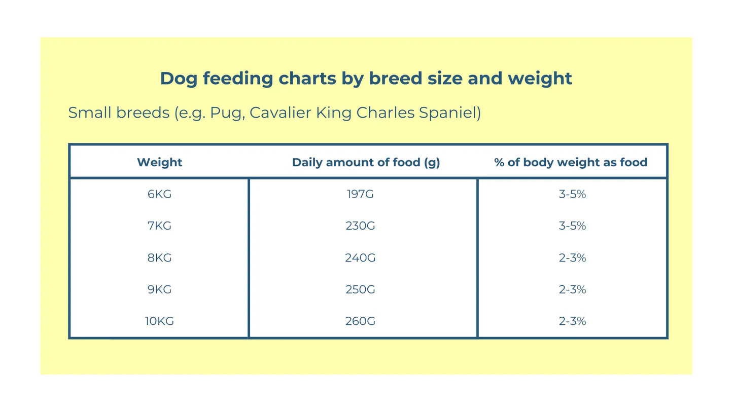 Raw Dog Food