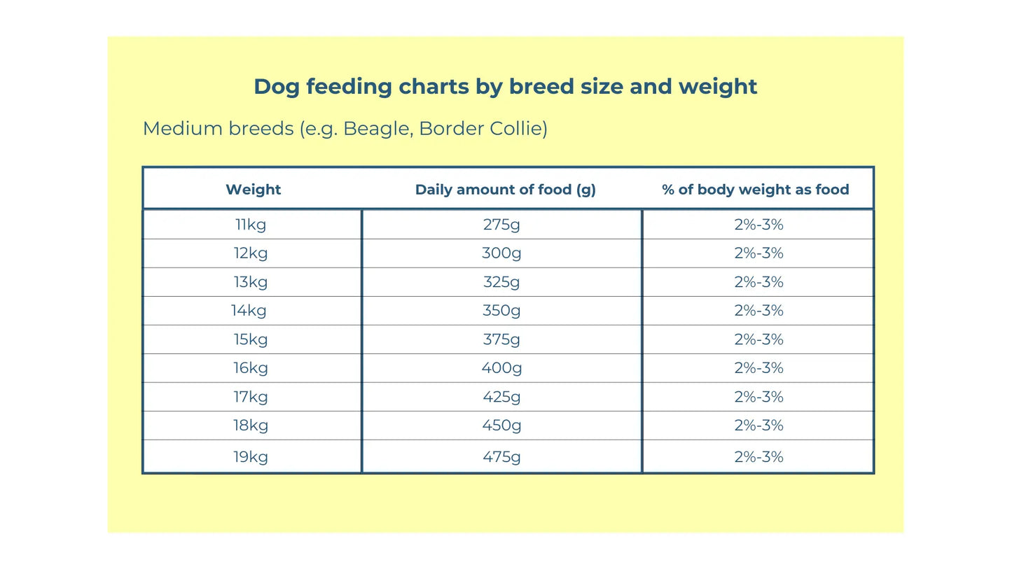 Raw Dog Food