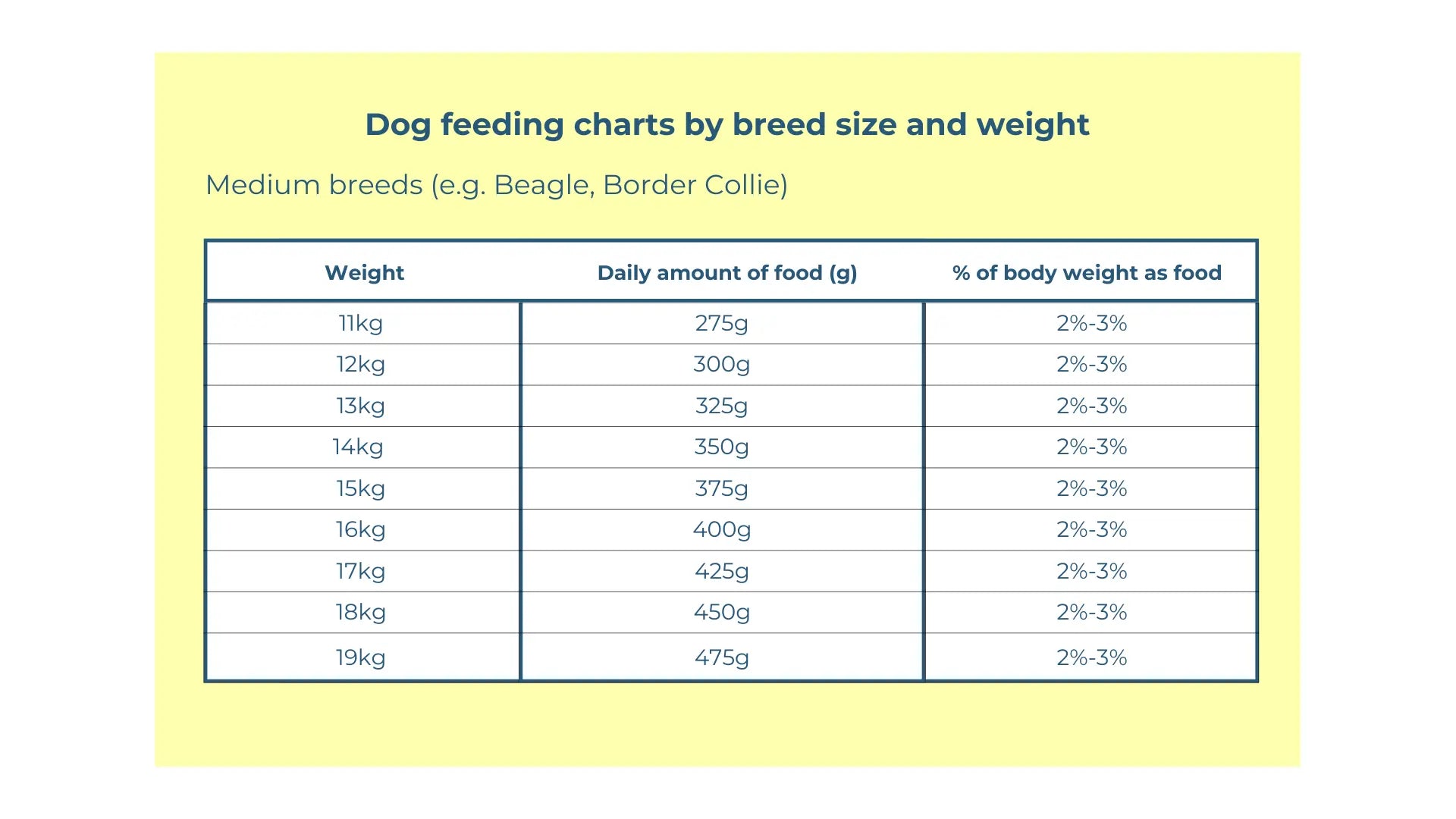 Raw Dog Food