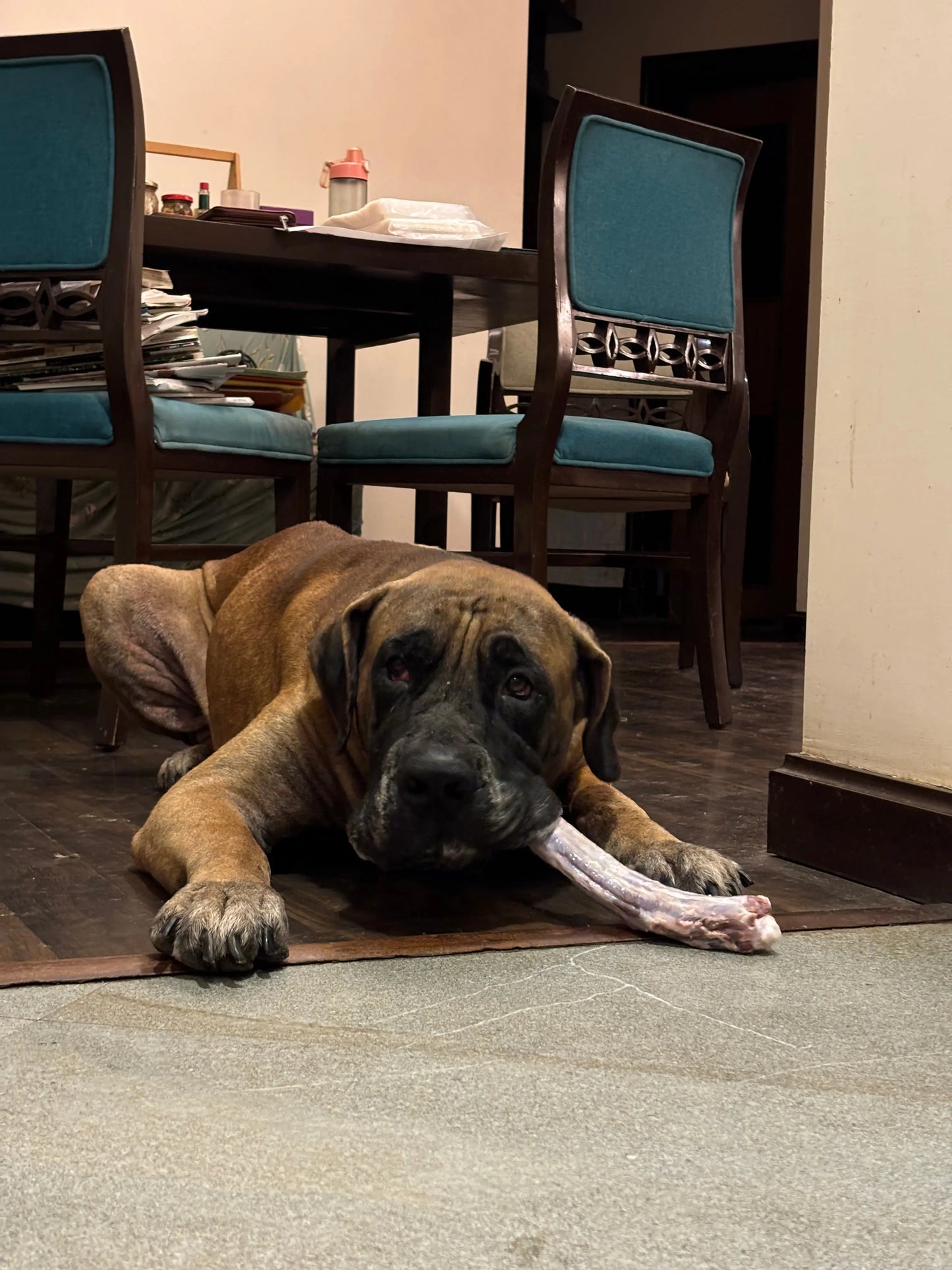 Raw Chew Bone