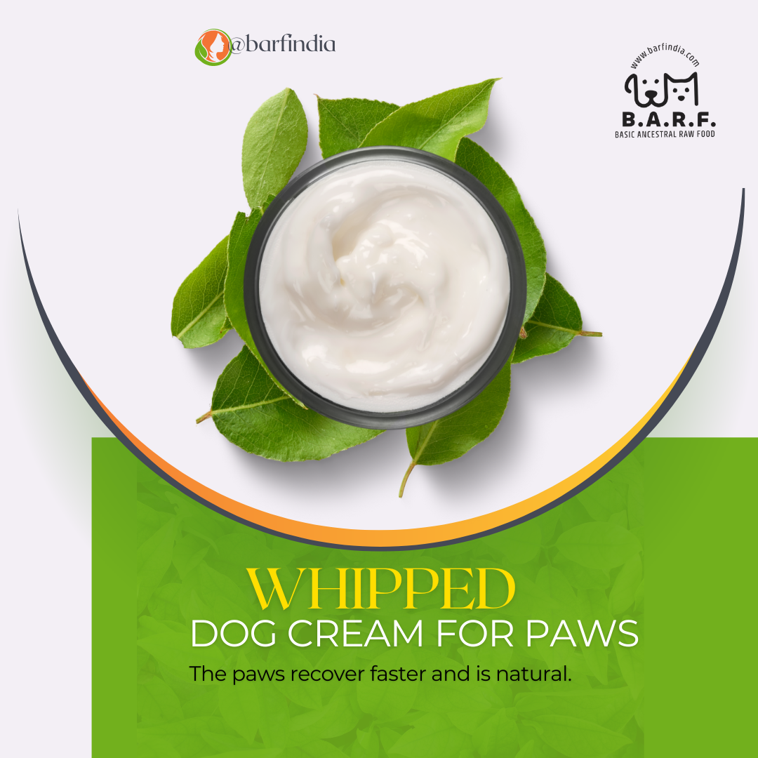 Dog Paw Cream – Heals Cracked Paws Naturally | 100% Safe www.barfindia.com