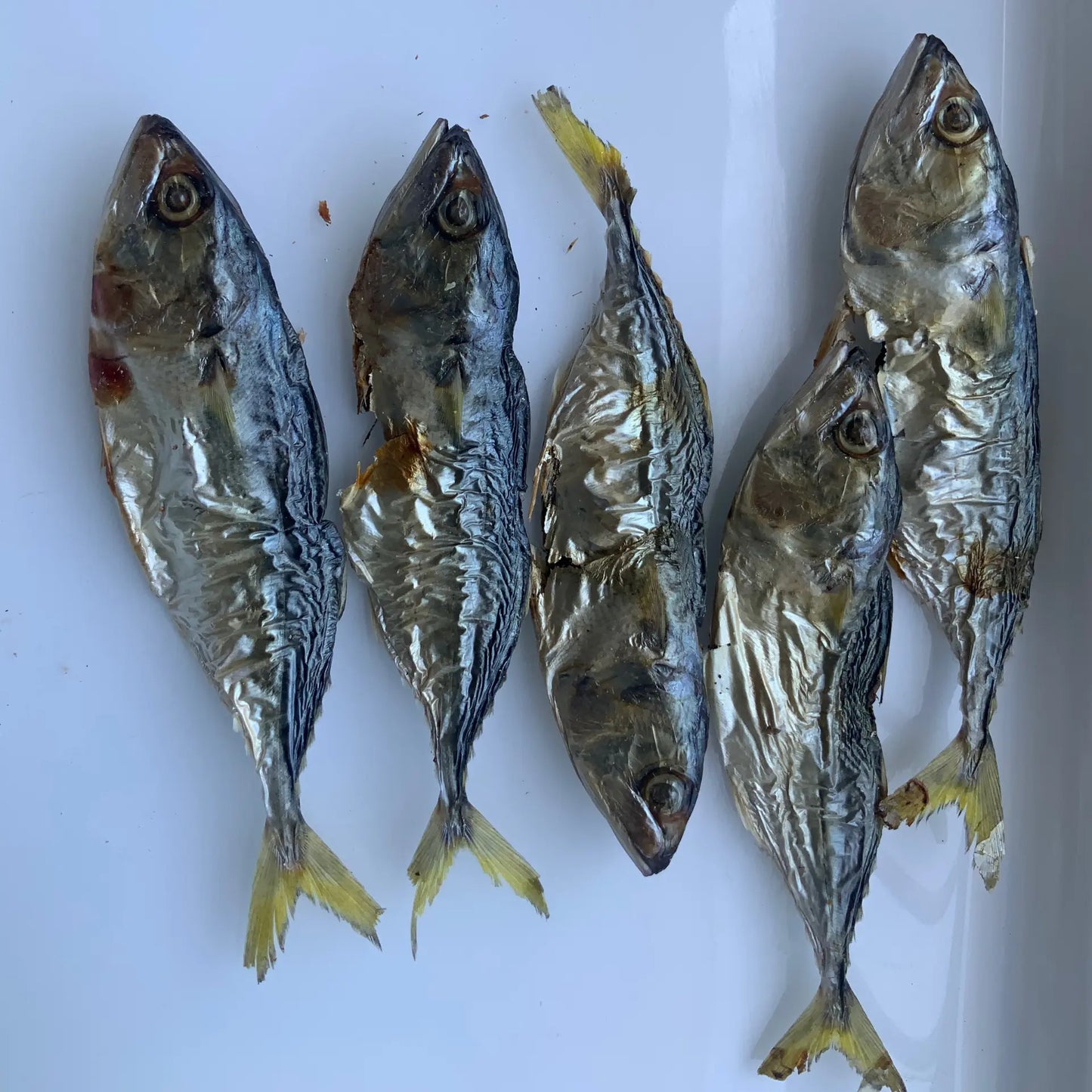 Mackerel