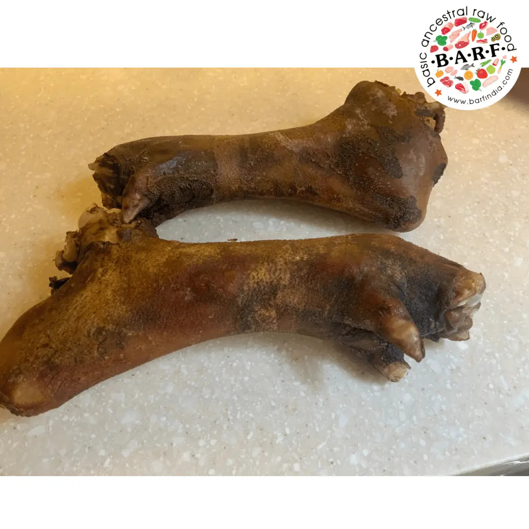 Raw Can My Dog Eat Pork Chops Pet Can Dogs Eat Pork Chop Meat Raw Pork